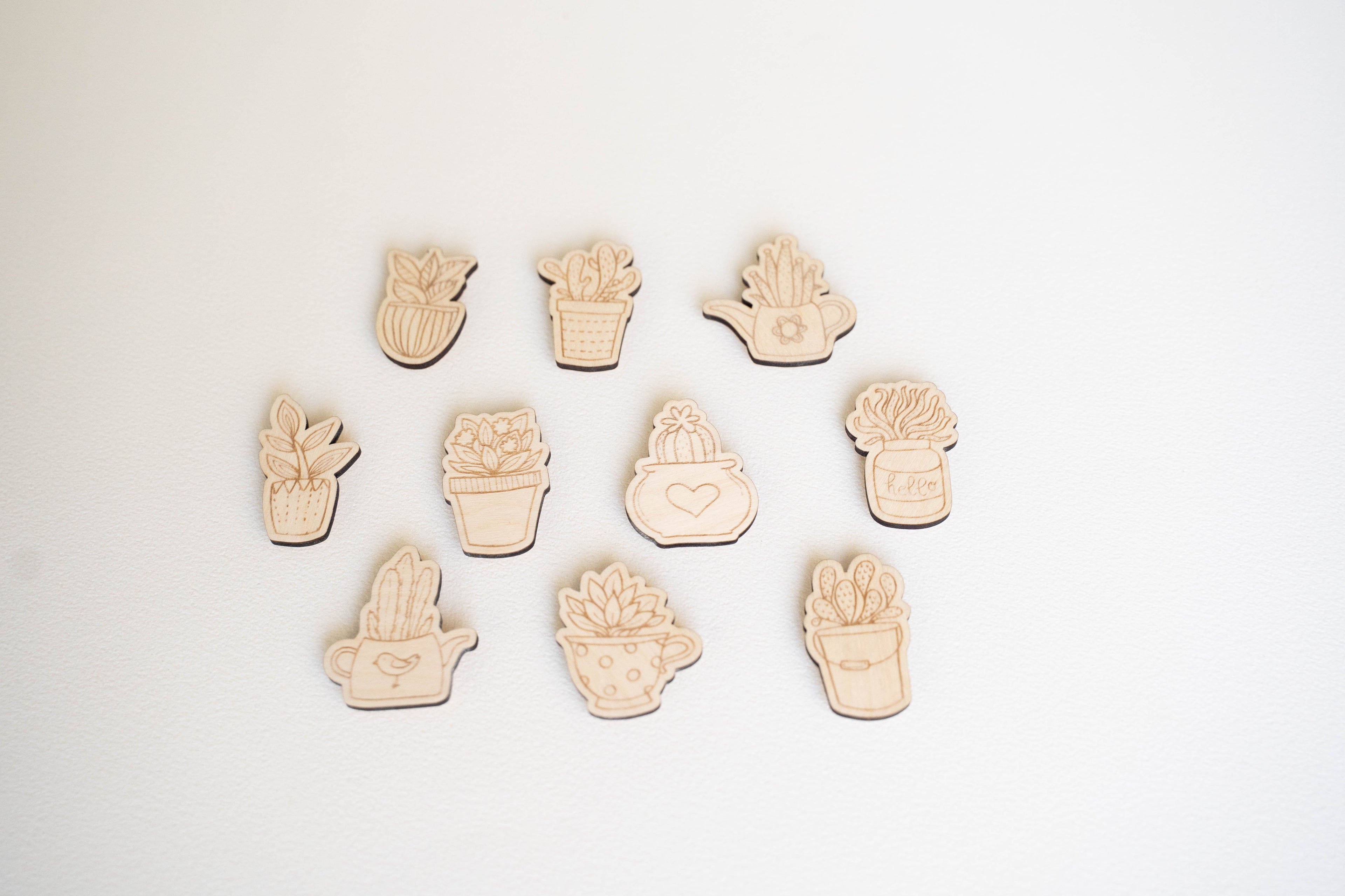 Plantmagneetjes